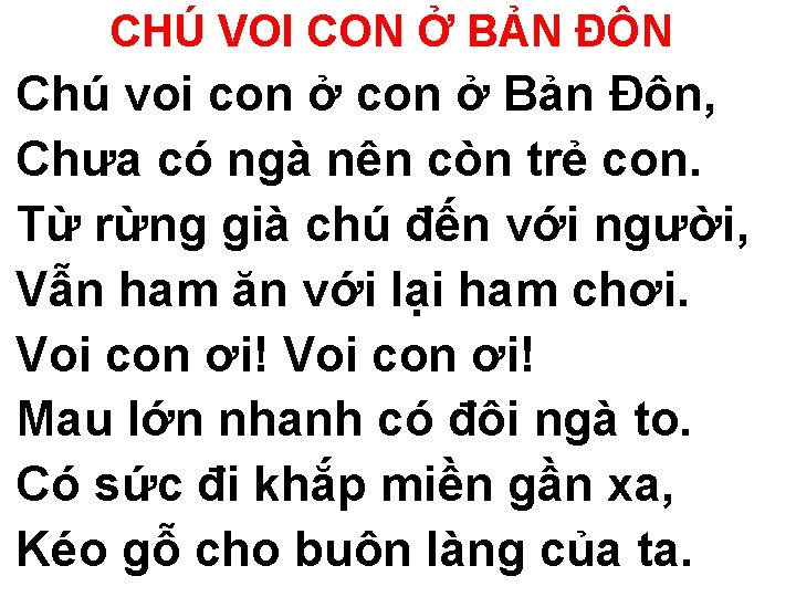 CHÚ VOI CON Ở BẢN ĐÔN Chú voi con ở Bản Đôn, Chưa có