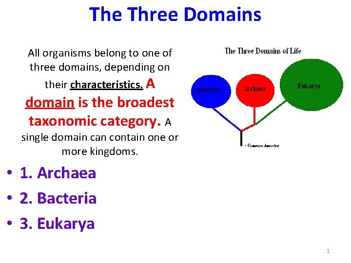 The Three Domains All organisms belong to one of three domains, depending on their