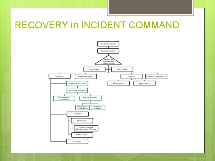 RECOVERY in INCIDENT COMMAND 