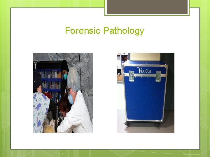 Forensic Pathology 