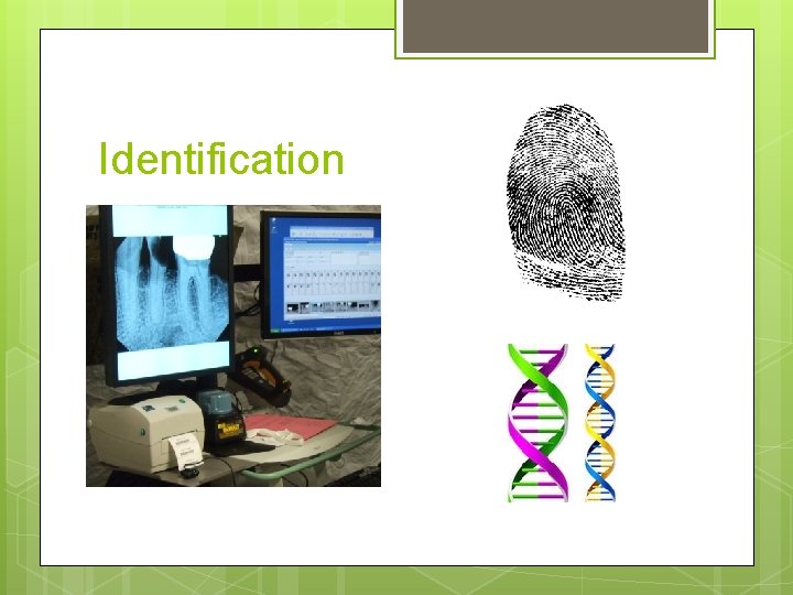 Identification 