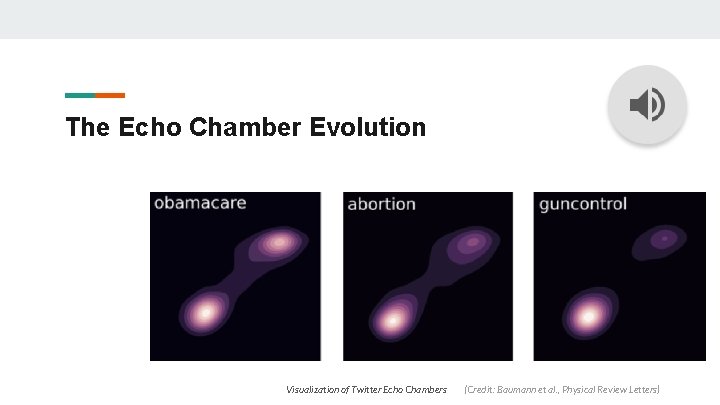 The Echo Chamber Evolution Visualization of Twitter Echo Chambers (Credit: Baumann et al. ,