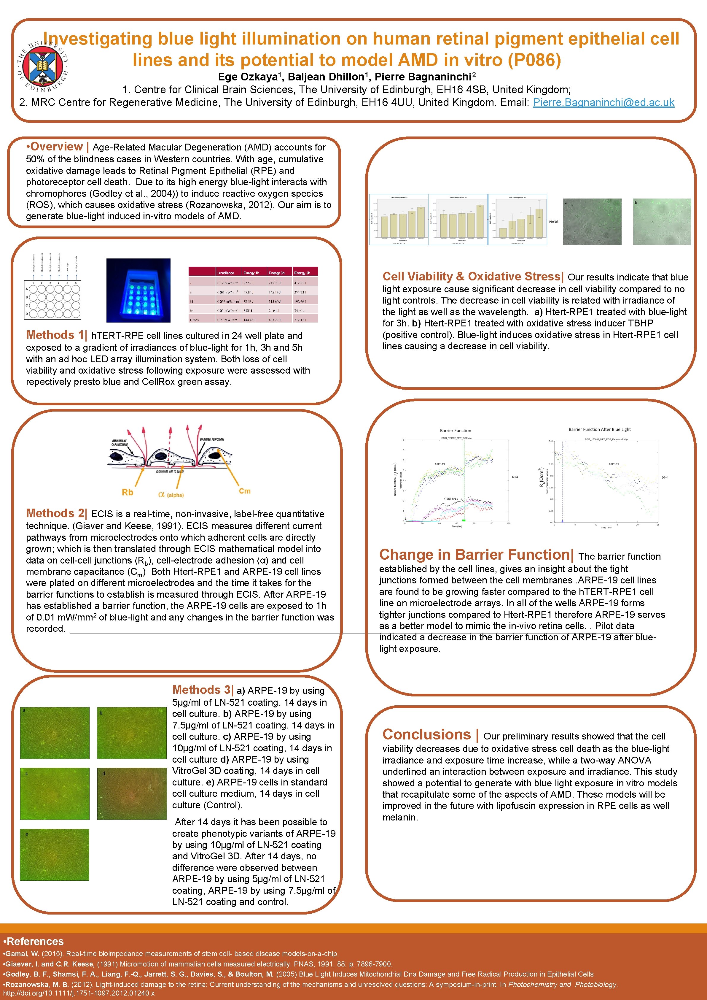 Investigating blue light illumination on human retinal pigment epithelial cell lines and its potential