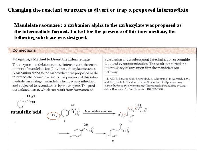 Changing the reactant structure to divert or trap a proposed intermediate Mandelate racemase :