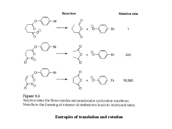 Entropies of translation and rotation 