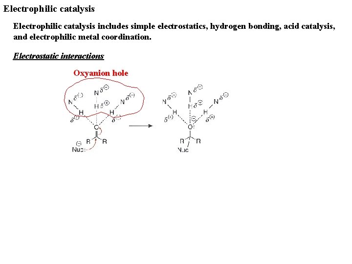 Electrophilic catalysis includes simple electrostatics, hydrogen bonding, acid catalysis, and electrophilic metal coordination. Electrostatic