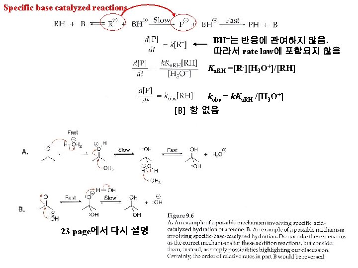 Specific base catalyzed reactions BH+는 반응에 관여하지 않음. 따라서 rate law에 포함되지 않음 Ka.
