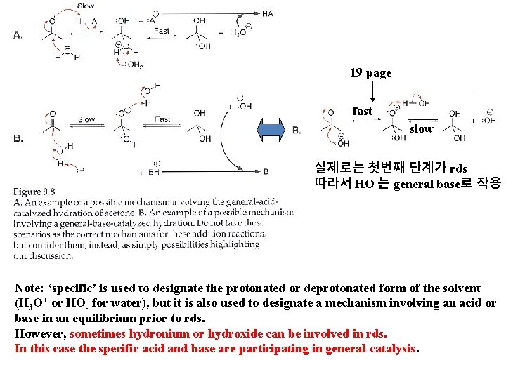 19 page fast slow 실제로는 첫번째 단계가 rds 따라서 HO-는 general base로 작용 Note: