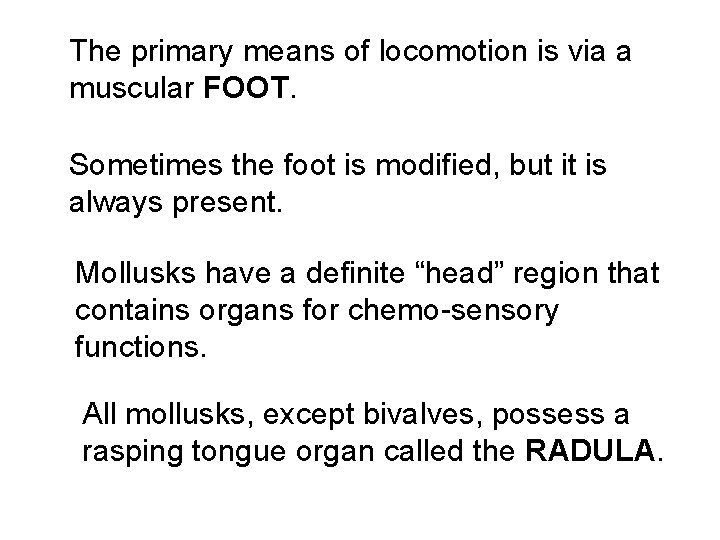 The primary means of locomotion is via a muscular FOOT. Sometimes the foot is