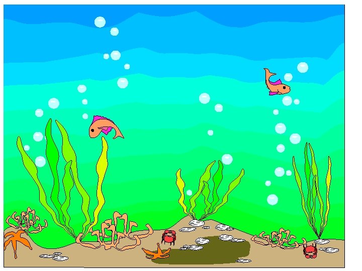 ANIMAL CLASSIFICATION 