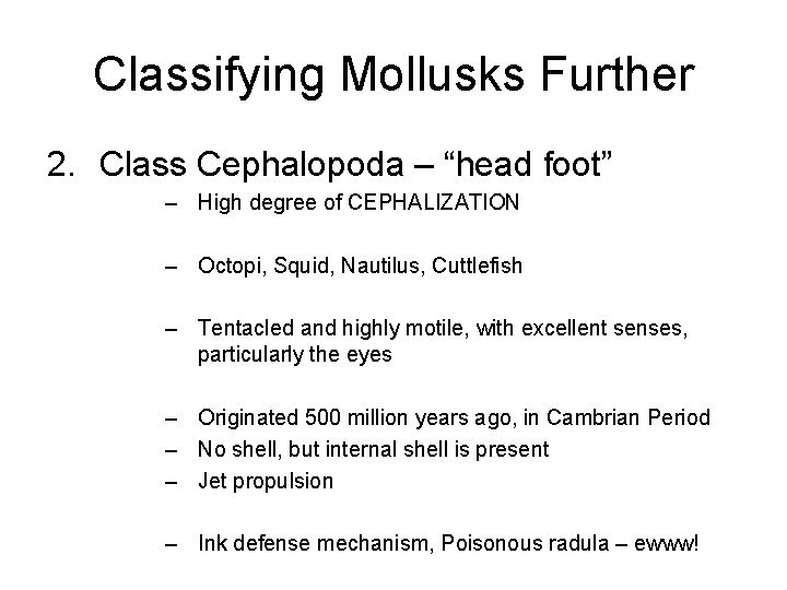 Classifying Mollusks Further 2. Class Cephalopoda – “head foot” – High degree of CEPHALIZATION