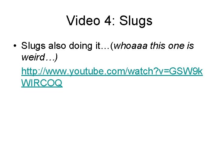 Video 4: Slugs • Slugs also doing it…(whoaaa this one is weird…) http: //www.