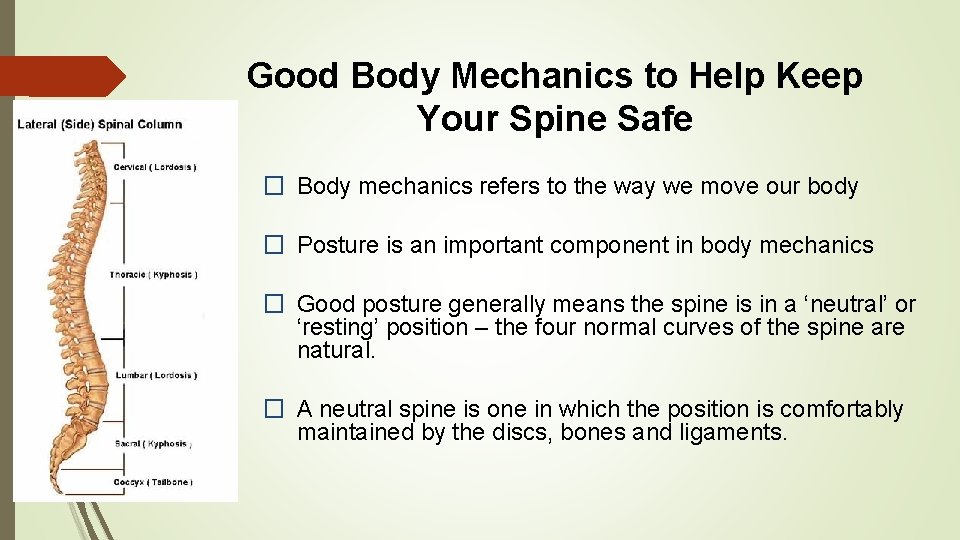 Good Body Mechanics to Help Keep Your Spine Safe � Body mechanics refers to