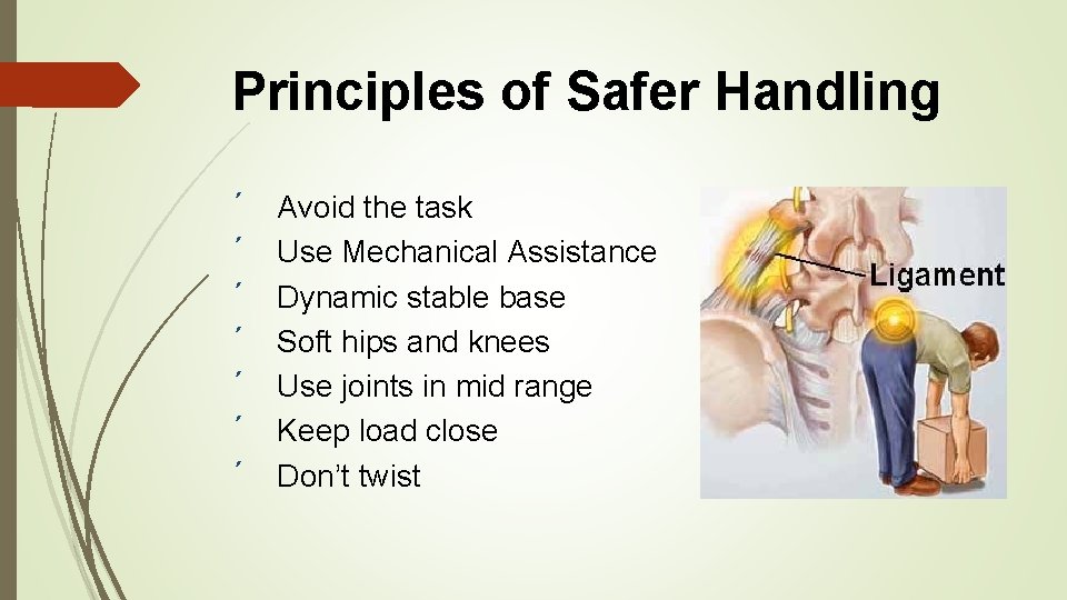 Principles of Safer Handling ´ ´ ´ ´ Avoid the task Use Mechanical Assistance