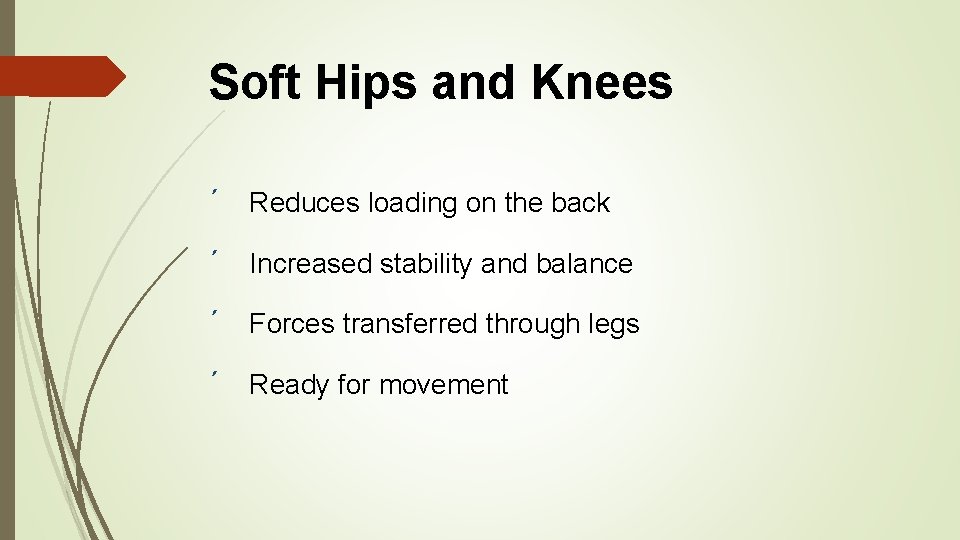 Soft Hips and Knees ´ Reduces loading on the back ´ Increased stability and
