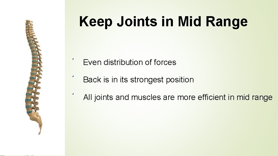 Keep Joints in Mid Range ´ Even distribution of forces ´ Back is in