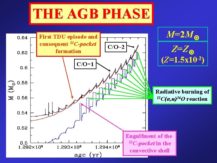 THE AGB PHASE First TDU episode and consequent 13 C-pocket formation C/O=1 C/O~2 M=2