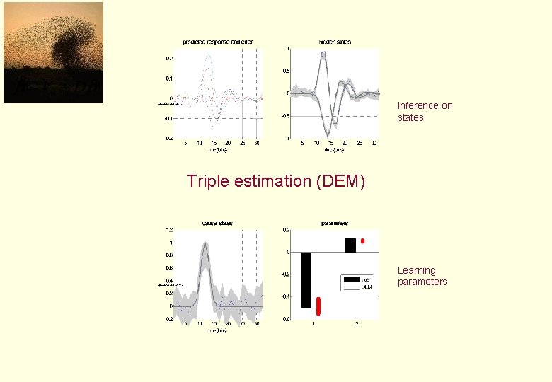 Inference on states Triple estimation (DEM) Learning parameters 