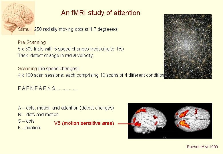 An f. MRI study of attention Stimuli 250 radially moving dots at 4. 7
