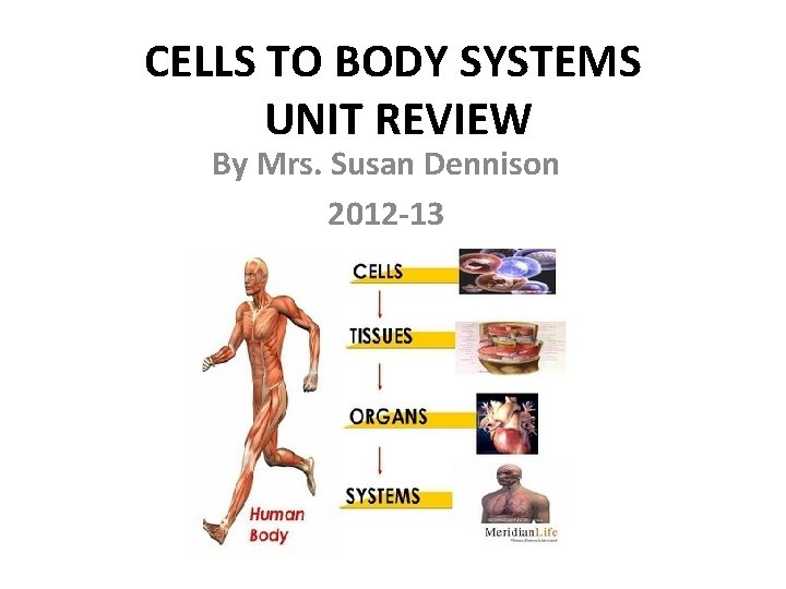 CELLS TO BODY SYSTEMS UNIT REVIEW By Mrs. Susan Dennison 2012 -13 