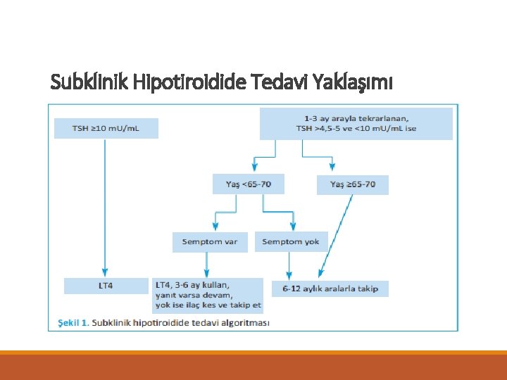 Subklinik Hipotiroidide Tedavi Yaklaşımı 