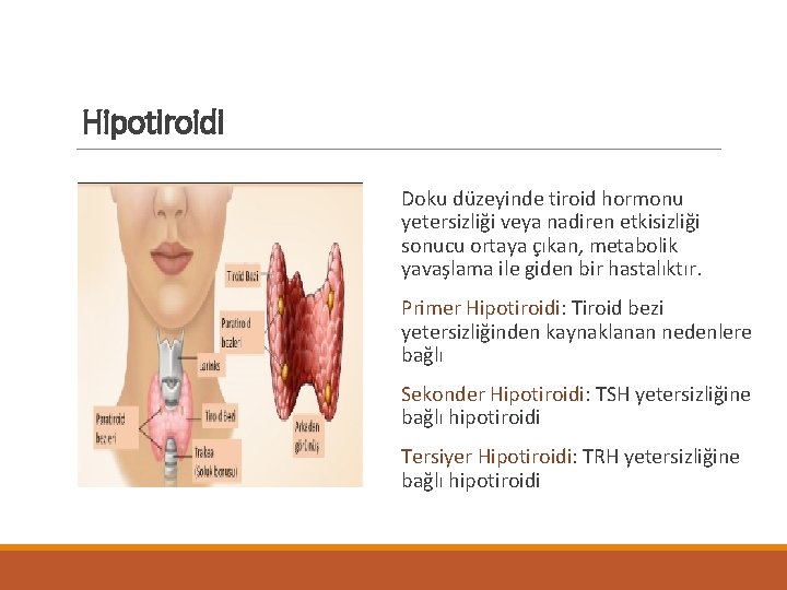 Hipotiroidi Doku düzeyinde tiroid hormonu yetersizliği veya nadiren etkisizliği sonucu ortaya çıkan, metabolik yavaşlama