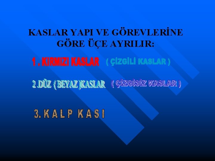 KASLAR YAPI VE GÖREVLERİNE GÖRE ÜÇE AYRILIR: 