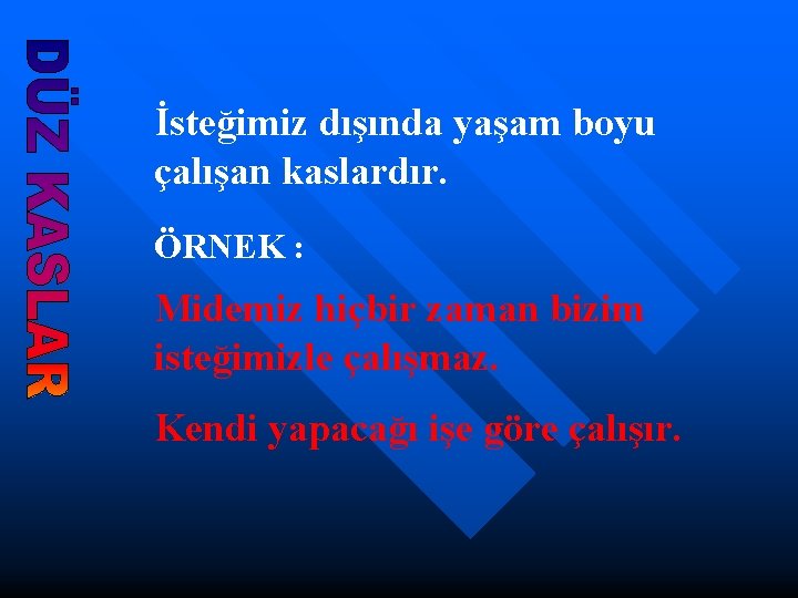 İsteğimiz dışında yaşam boyu çalışan kaslardır. ÖRNEK : Midemiz hiçbir zaman bizim isteğimizle çalışmaz.