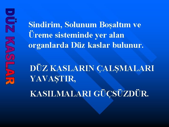 Sindirim, Solunum Boşaltım ve Üreme sisteminde yer alan organlarda Düz kaslar bulunur. DÜZ KASLARIN