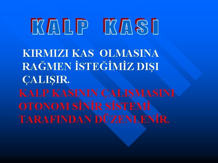 KIRMIZI KAS OLMASINA RAĞMEN İSTEĞİMİZ DIŞI ÇALIŞIR. KALP KASININ ÇALIŞMASINI OTONOM SİNİR SİSTEMİ TARAFINDAN