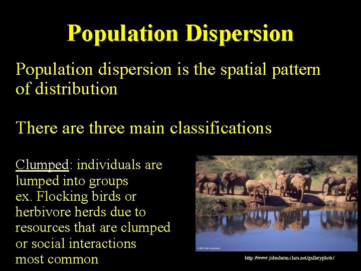 Population Dispersion Population dispersion is the spatial pattern of distribution There are three main