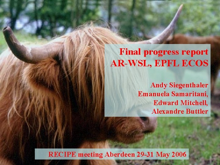 Final progress report AR-WSL, EPFL ECOS Andy Siegenthaler Emanuela Samaritani, Edward Mitchell, Alexandre Buttler