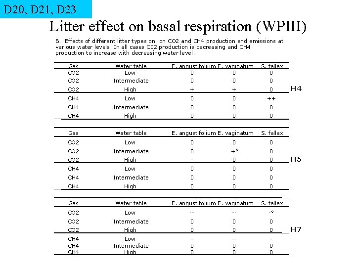 D 20, D 21, D 23 Litter effect on basal respiration (WPIII) B. Effects