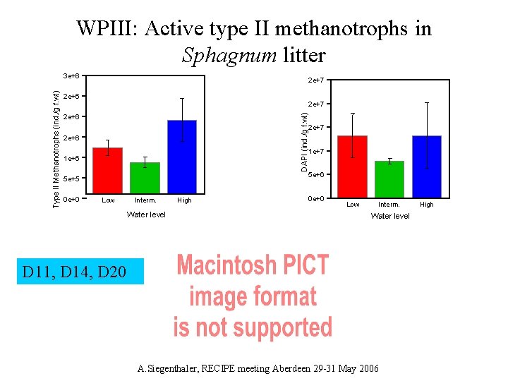 WPIII: Active type II methanotrophs in Sphagnum litter 2 e+7 2 e+6 2 e+7