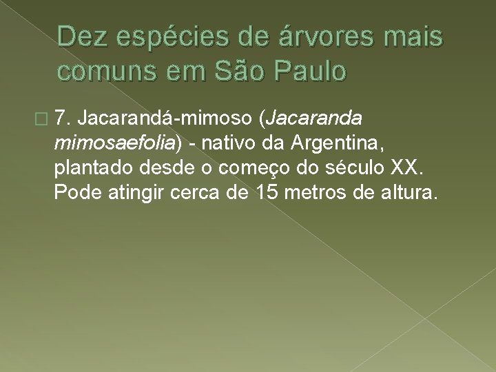 Dez espécies de árvores mais comuns em São Paulo � 7. Jacarandá-mimoso (Jacaranda mimosaefolia)