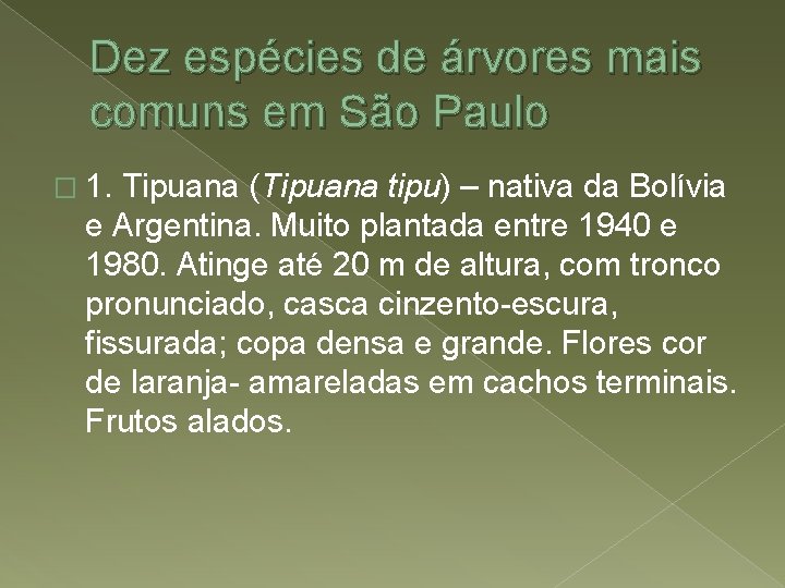 Dez espécies de árvores mais comuns em São Paulo � 1. Tipuana (Tipuana tipu)