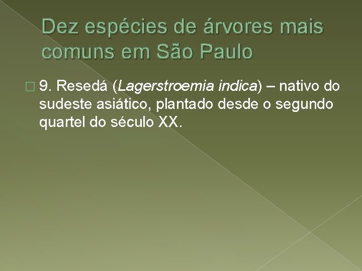 Dez espécies de árvores mais comuns em São Paulo � 9. Resedá (Lagerstroemia indica)