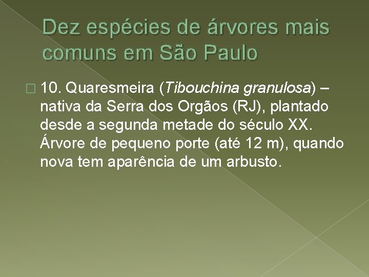 Dez espécies de árvores mais comuns em São Paulo � 10. Quaresmeira (Tibouchina granulosa)