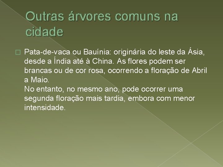 Outras árvores comuns na cidade � Pata-de-vaca ou Bauínia: originária do leste da Ásia,