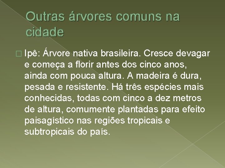 Outras árvores comuns na cidade � Ipê: Árvore nativa brasileira. Cresce devagar e começa