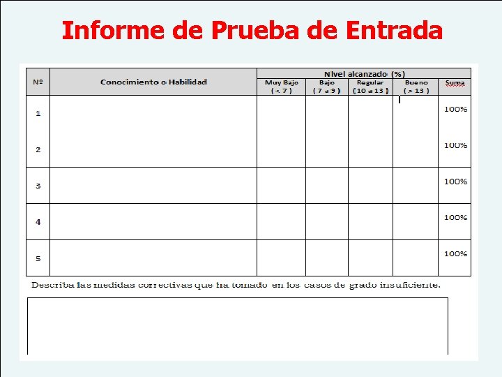 Informe de Prueba de Entrada 