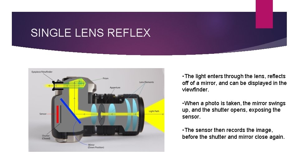 SINGLE LENS REFLEX • The light enters through the lens, reflects off of a