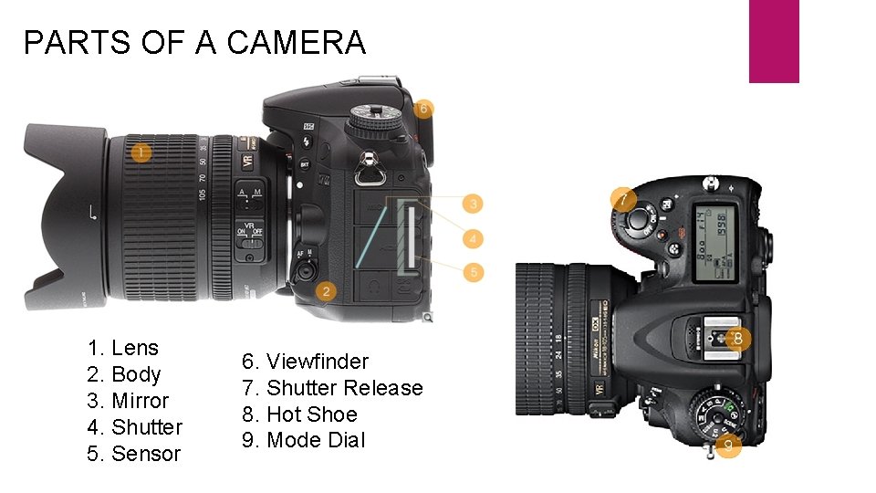 PARTS OF A CAMERA 1. Lens 2. Body 3. Mirror 4. Shutter 5. Sensor