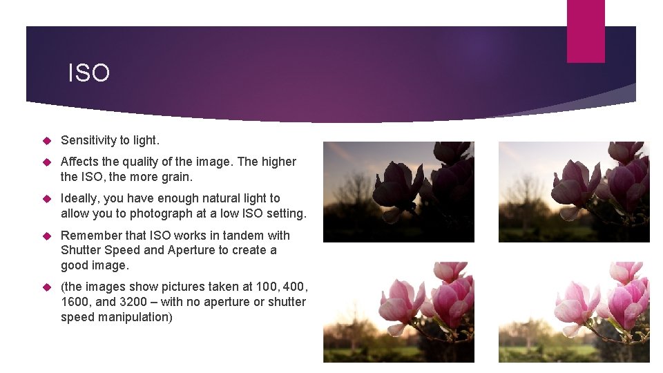 ISO Sensitivity to light. Affects the quality of the image. The higher the ISO,