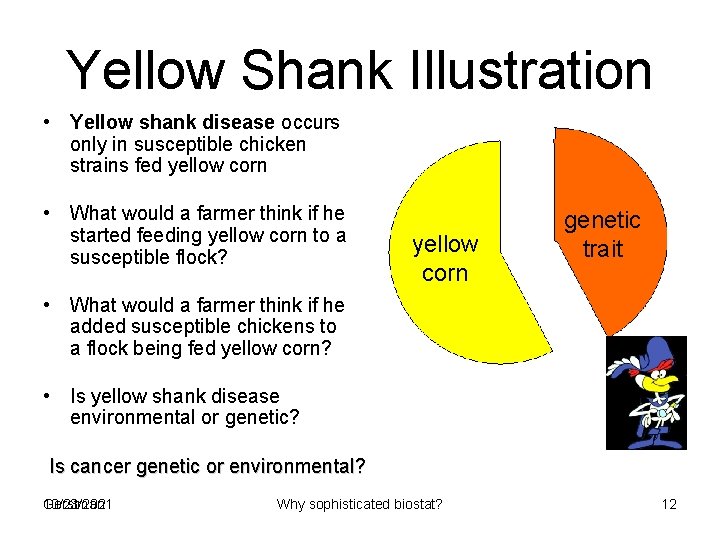 Yellow Shank Illustration • Yellow shank disease occurs only in susceptible chicken strains fed