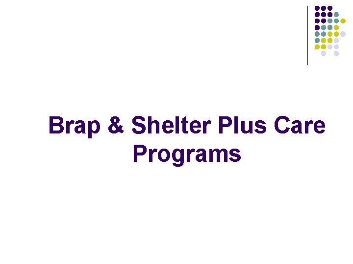 Brap & Shelter Plus Care Programs 