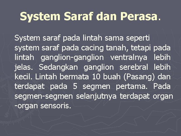System Saraf dan Perasa. System saraf pada lintah sama seperti system saraf pada cacing