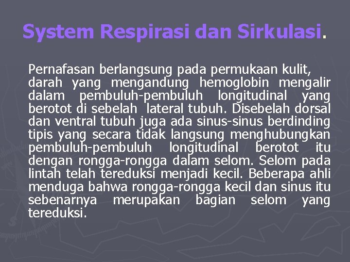 System Respirasi dan Sirkulasi. Pernafasan berlangsung pada permukaan kulit, darah yang mengandung hemoglobin mengalir