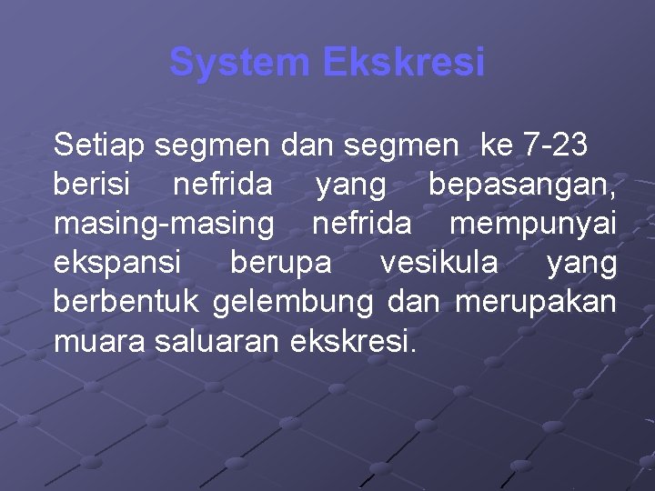 System Ekskresi Setiap segmen dan segmen ke 7 -23 berisi nefrida yang bepasangan, masing-masing