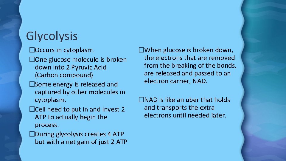 Glycolysis �Occurs in cytoplasm. �One glucose molecule is broken down into 2 Pyruvic Acid